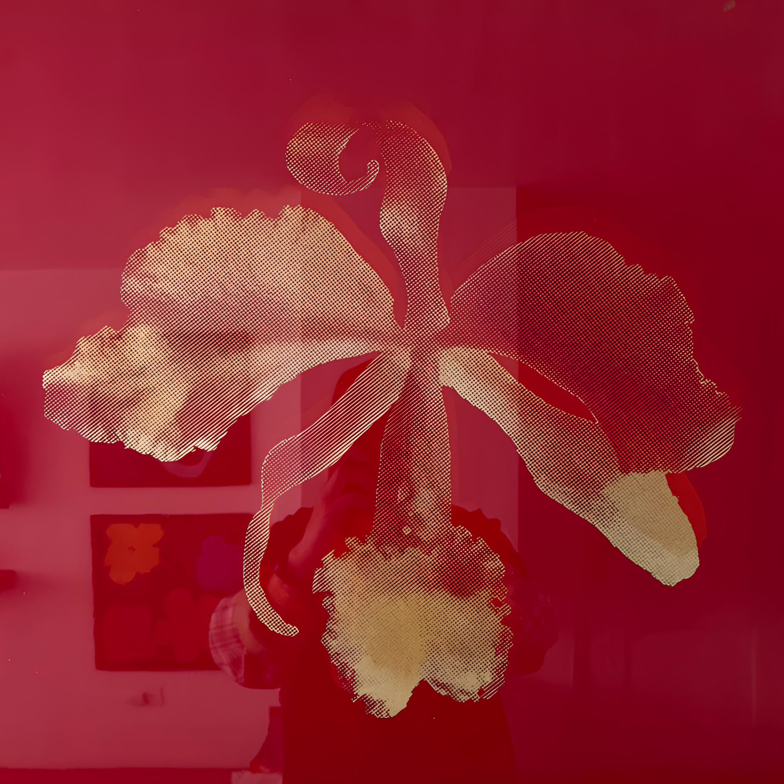 Orquídea y Diente de León · XIII